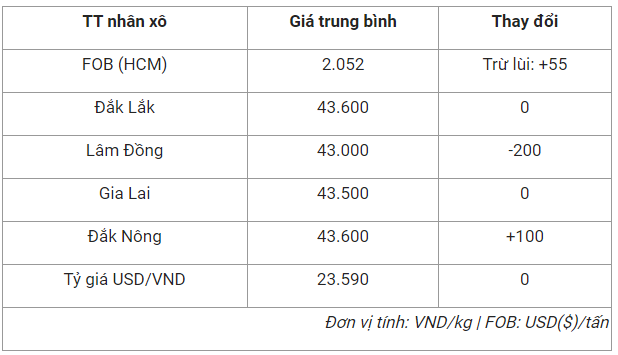 gia ca phe hom nay 24 10 lam dong giam 200 dong kg Dak Nong tang nhe Giá cà phê hôm nay 24/10: Lâm Đồng giảm 200 đồng/kg, Đắk Nông tăng nhẹ